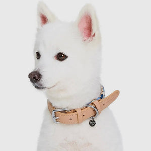 Braided Full Grain Leather Dog Collar