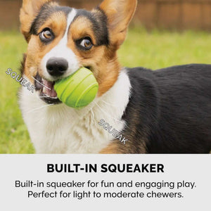 Fetch N Fun Ball w/ Squeaker (3 pk)