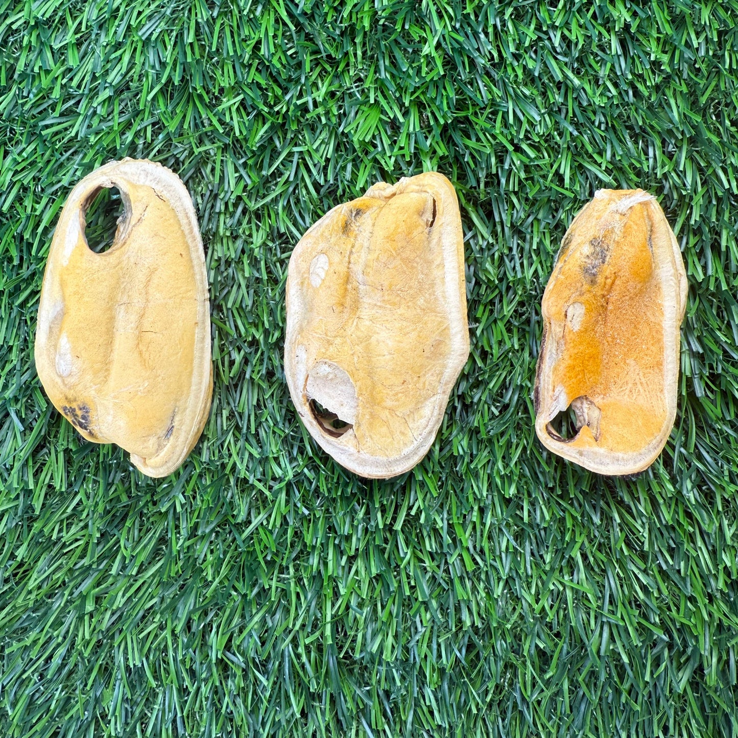 🦪🐶🐱 New Zealand Green Lipped Mussels – Freeze-Dried Treats for Dogs & Cats