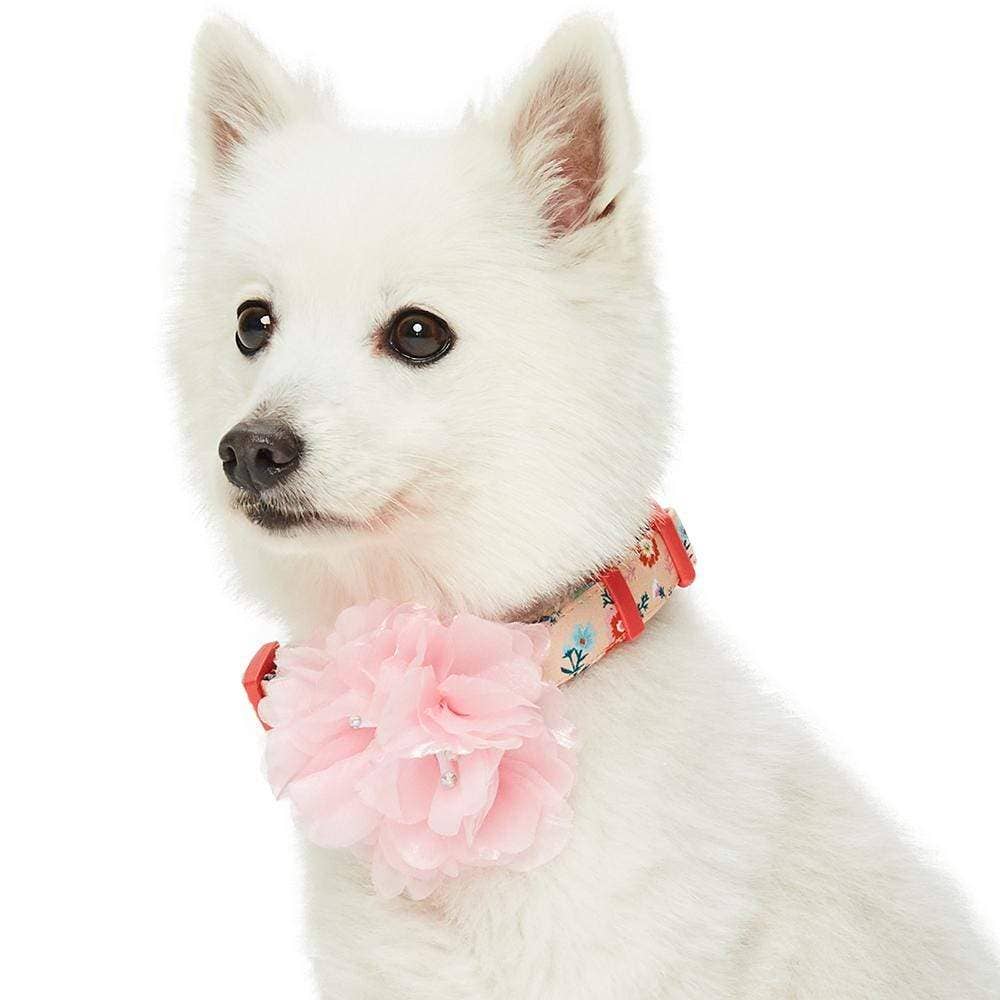 🌸 Floral Dog Collar with Pink Peony – Elegant, Feminine & Fashion-Forward 🐾