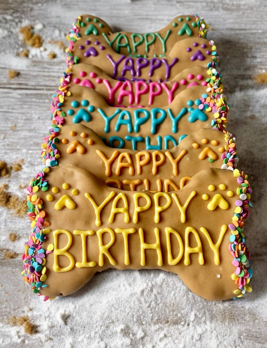 6 inch PB Confetti Yappy Birthday Bone dog treat