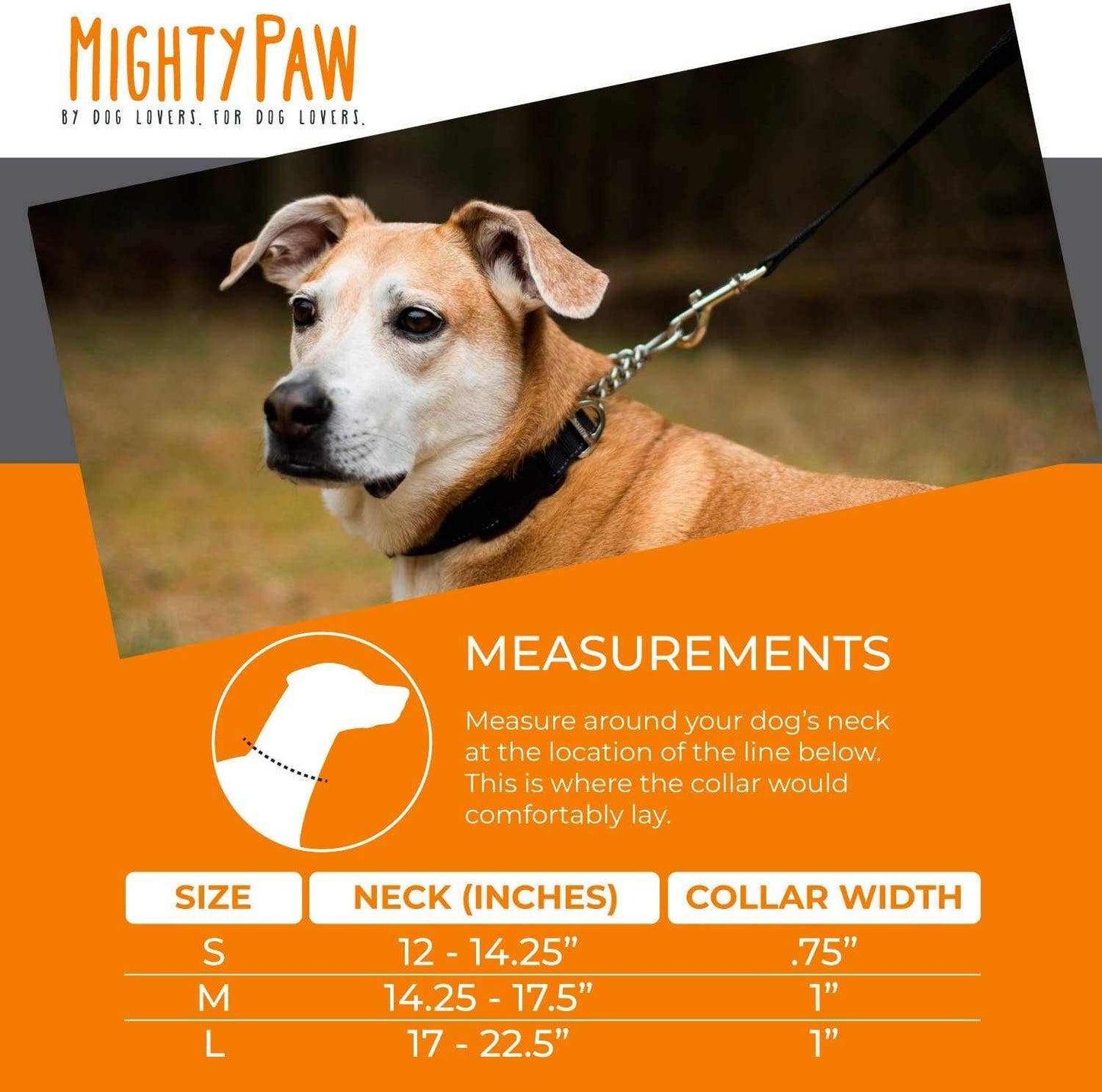 🐾✨Mighty Paw Martingale Collar