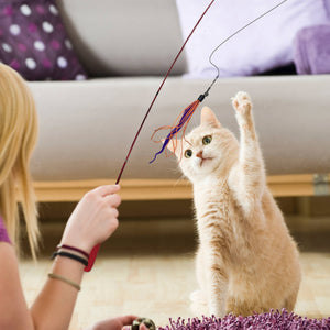 Wiggly Wand Cat Toy