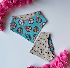 🎶🐾 Pup Up The Volume Reversible Velcro Bandana