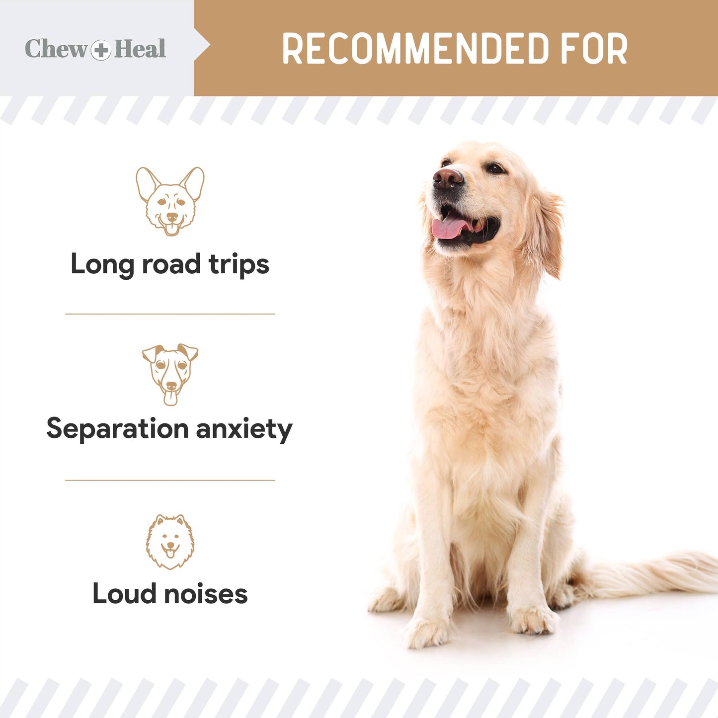 Anxiety + Stress Dog Peanut Butter Flavor