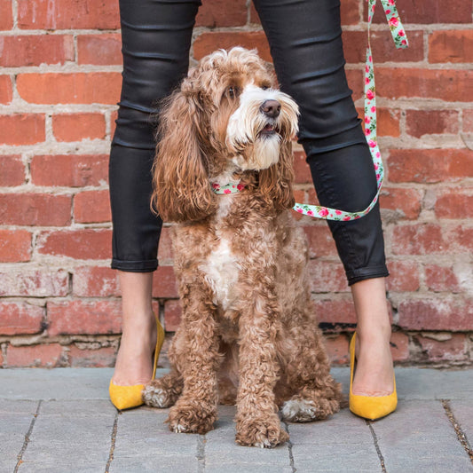 Petal Paws Floral Dog Leash