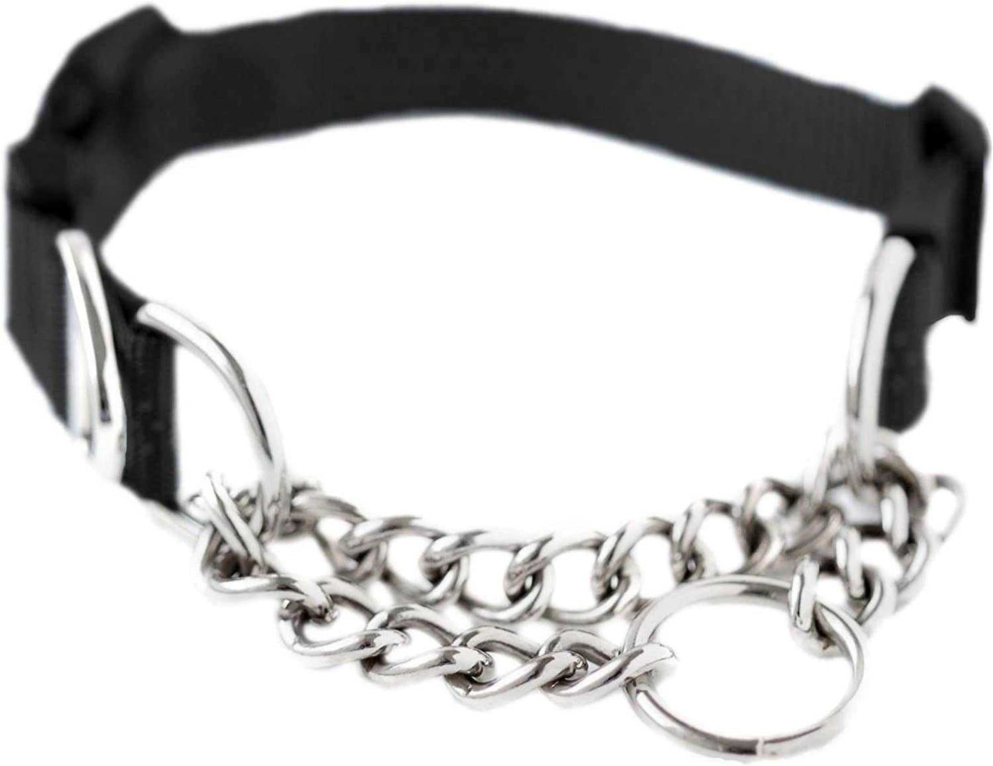 🐾✨Mighty Paw Martingale Collar