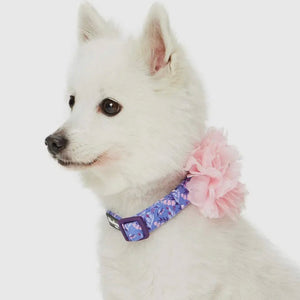 Floral Dog Collar with Detachable Pink Peony