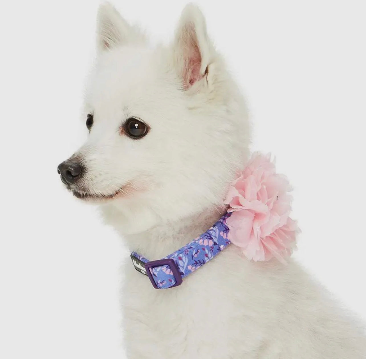 Floral Dog Collar with Detachable Pink Peony