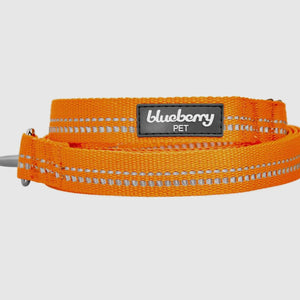Spring Colors 3M Reflective Soft Padded Safety Leash