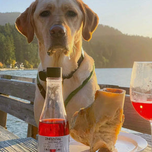 Dog Wine Liquid Supplement