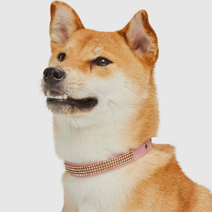 Bling Crystal Rhinestone Dog Collars