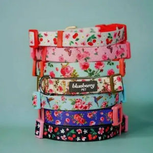 Spring Floral Pattern Light-Weighted Adjustable Dog Collar