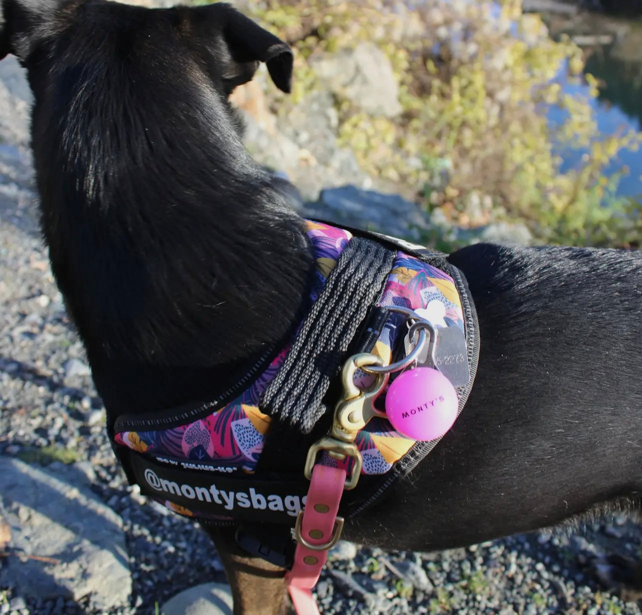 USB Rechargeable Dog Collar/ Harness Light