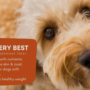 Rabbit Sausage For Dogs
