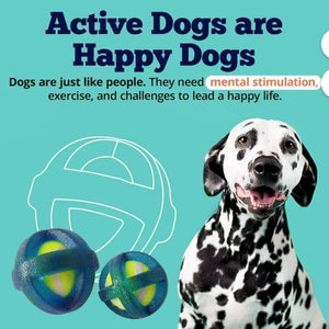 TPR Coated Dog Agility Tennis Ball