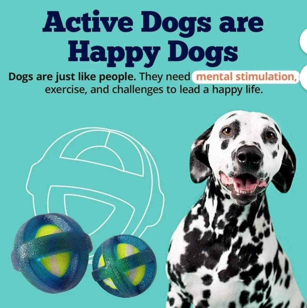 TPR Coated Dog Agility Tennis Ball