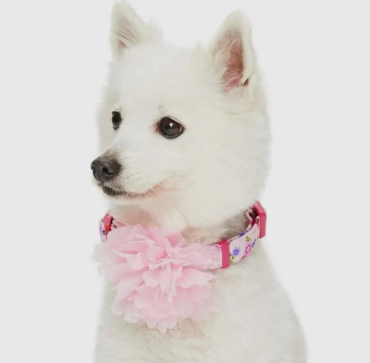 Floral Dog Collar with Detachable Pink Peony