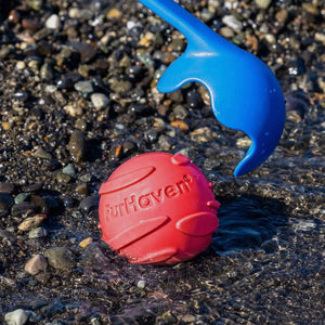 Fetch N Fun Ball w/ Squeaker (3 pk)