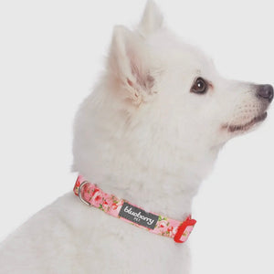 Spring Floral Pattern Light-Weighted Adjustable Dog Collar
