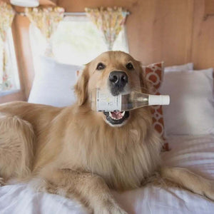 Dog Wine Liquid Supplement