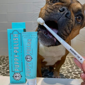 Puppy Polish Toothpaste - Filet Mignon (Beef)