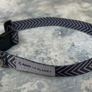 Eco Dog Collar Made with Recycled Webbing