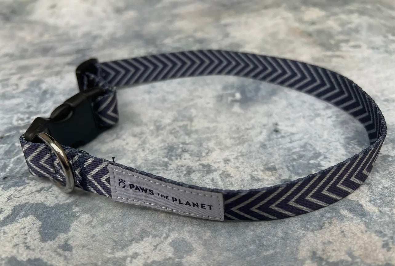 Eco Dog Collar Made with Recycled Webbing