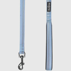 Spring Colors 3M Reflective Soft Padded Safety Leash