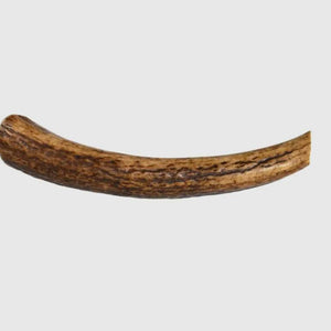 Antlers -Elk