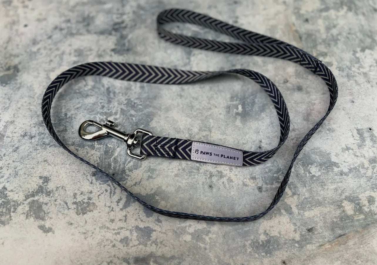 Eco Dog Lead Made with Recycled Webbing