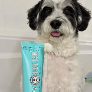 Puppy Polisher Eco Toothbrush - (Medium)
