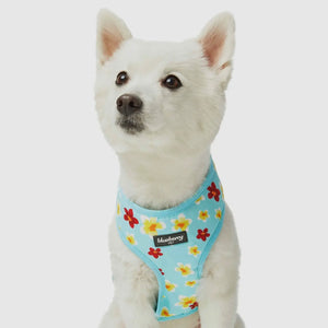 Tropical Yellow Plumeria Flower Dog Harness Vest