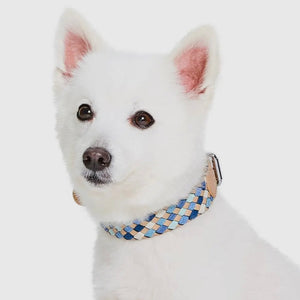 Braided Full Grain Leather Dog Collar