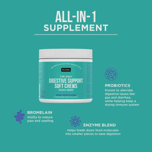 The Only Digestive Support Soft Chews Dogs Need