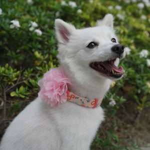 Floral Dog Collar with Detachable Pink Peony