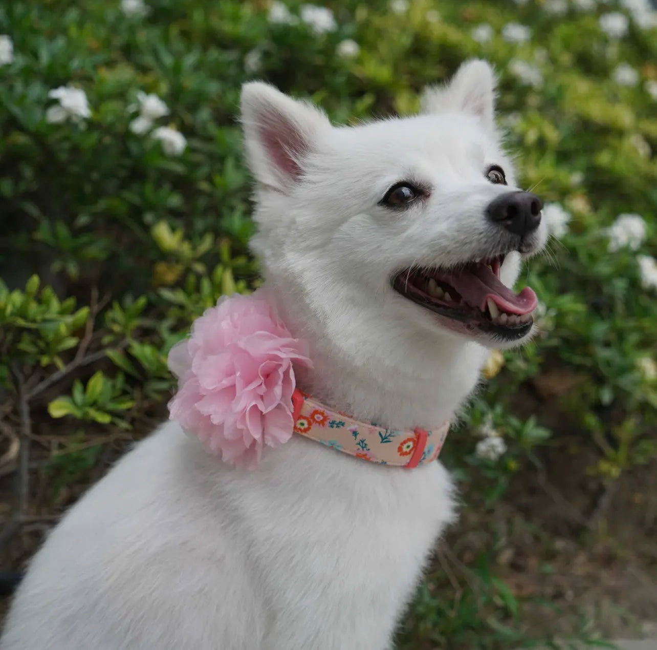 Floral Dog Collar with Detachable Pink Peony