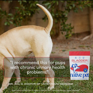 Cranberry Bladder Chews, Kidney & Urinary Supplement