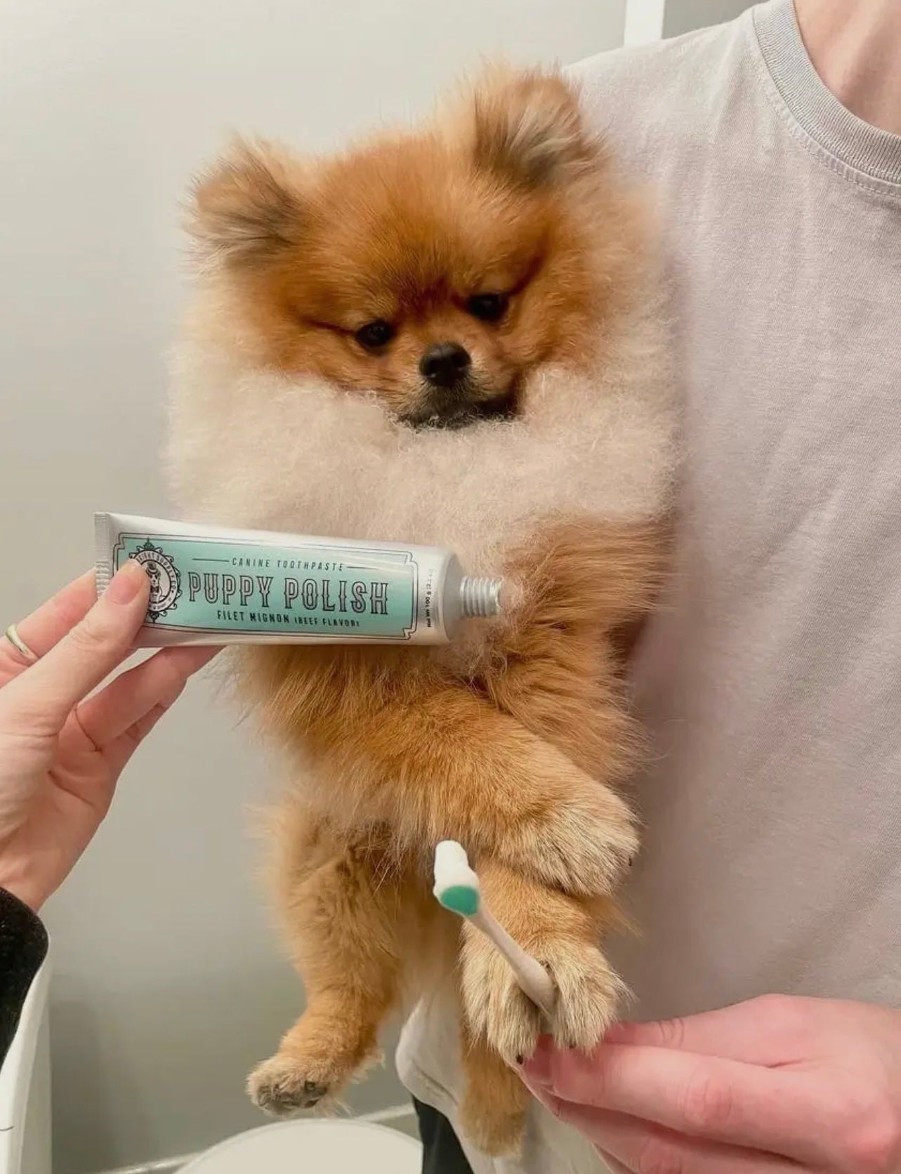 Puppy Polish Toothpaste - Filet Mignon (Beef)