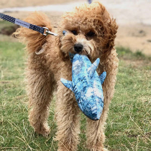 Eco Conscious Shark Dog Toy