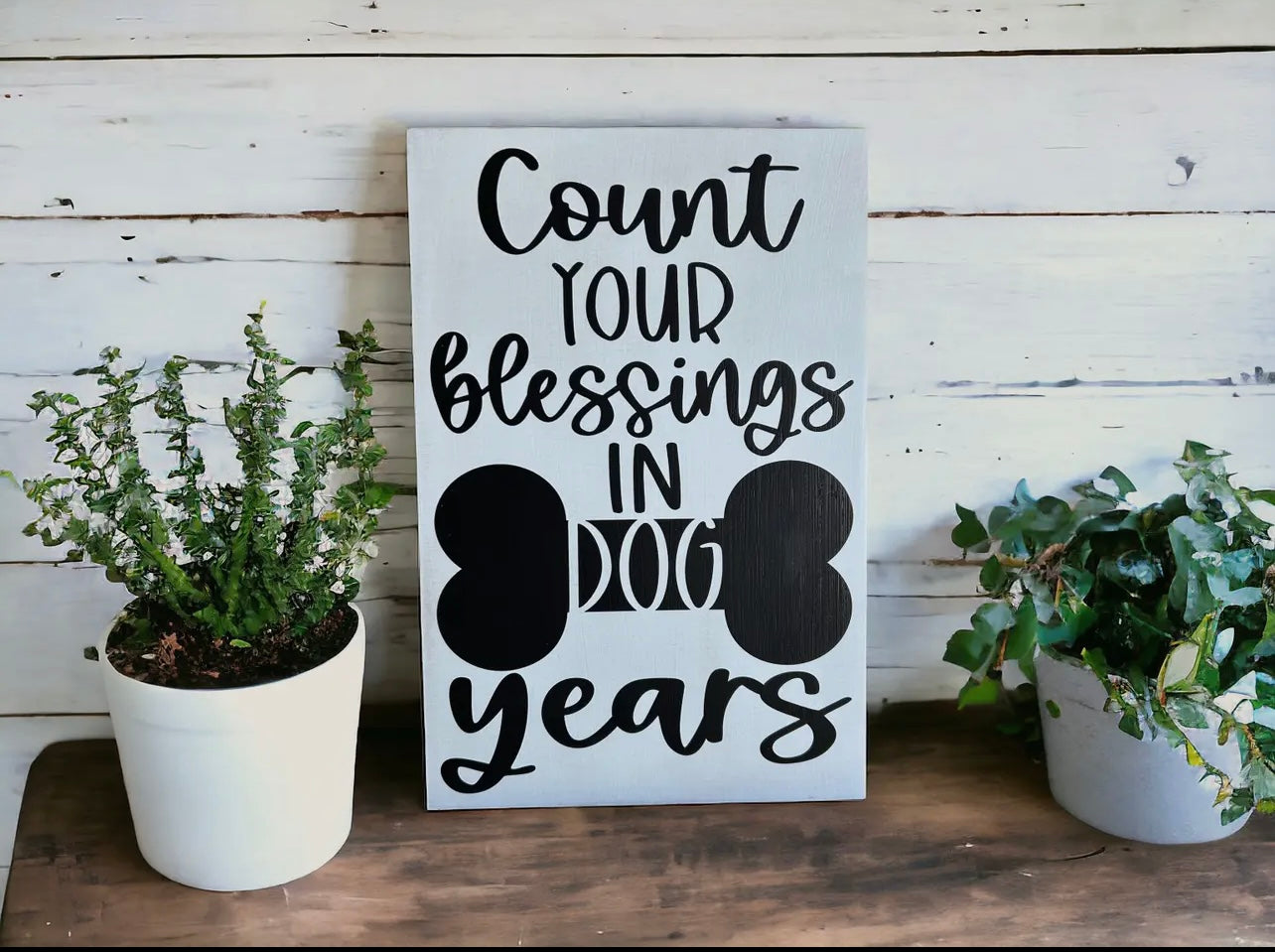 Count Your Blessings in Dog Years - Rustic Wood Sign