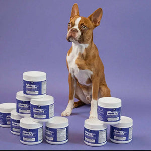 Allergy Immune Soft Chew Treats