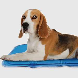 Cool Pet Pad