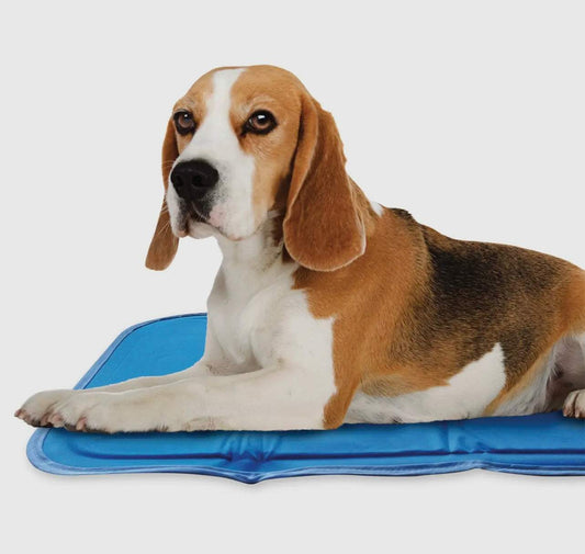 Cool Pet Pad