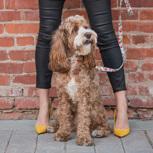 Petal Paws Floral Dog Leash
