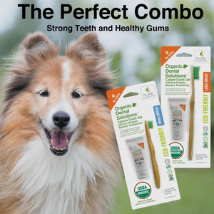 Tooth Gel and Bamboo Toothbrush For Small Dogs - Organic