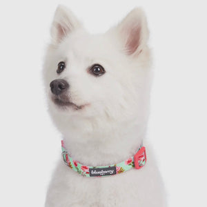 Spring Floral Pattern Light-Weighted Adjustable Dog Collar