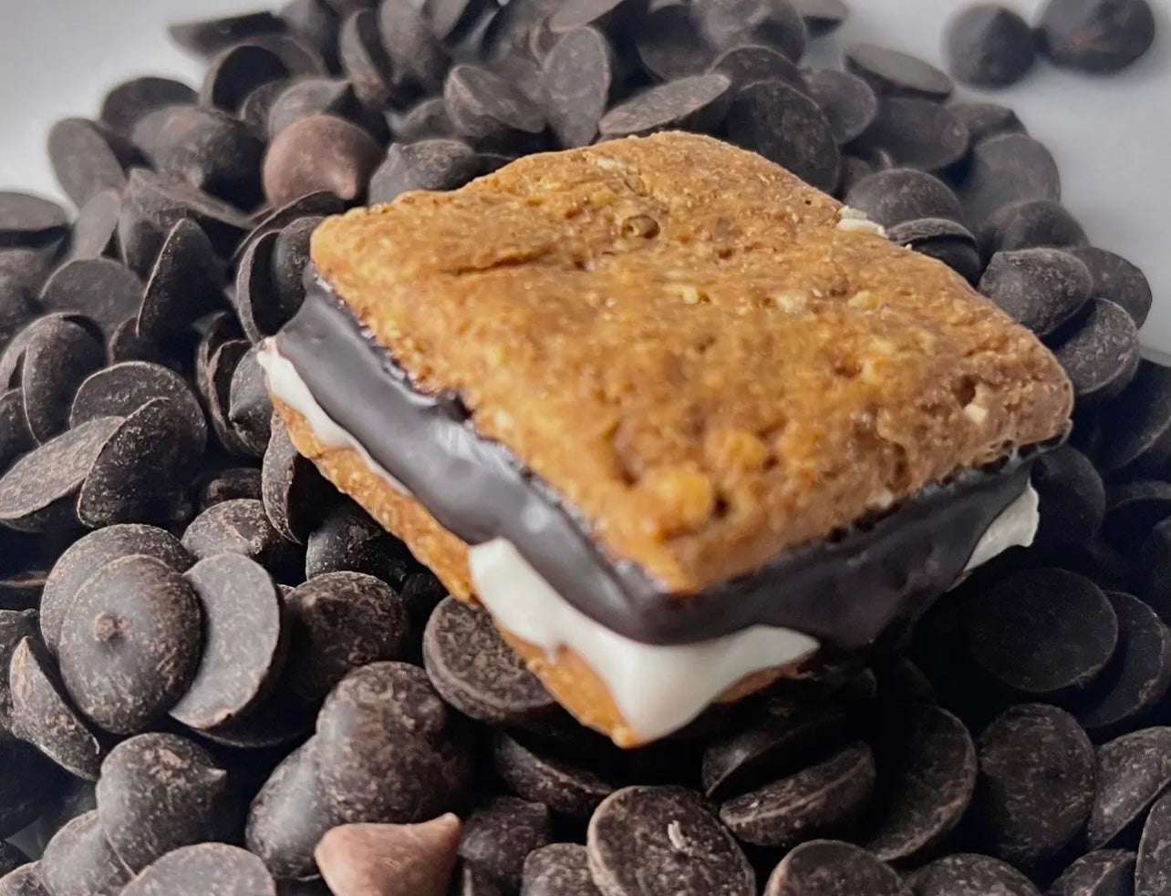 Campfire S’mores for Dogs