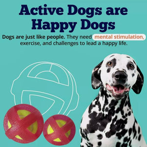 TPR Coated Dog Agility Tennis Ball