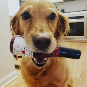 Dog Wine Liquid Supplement
